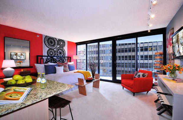 bold-color-wall-studio-apartment